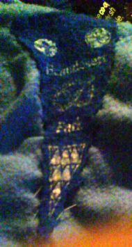 Beaudessert Park Pennant